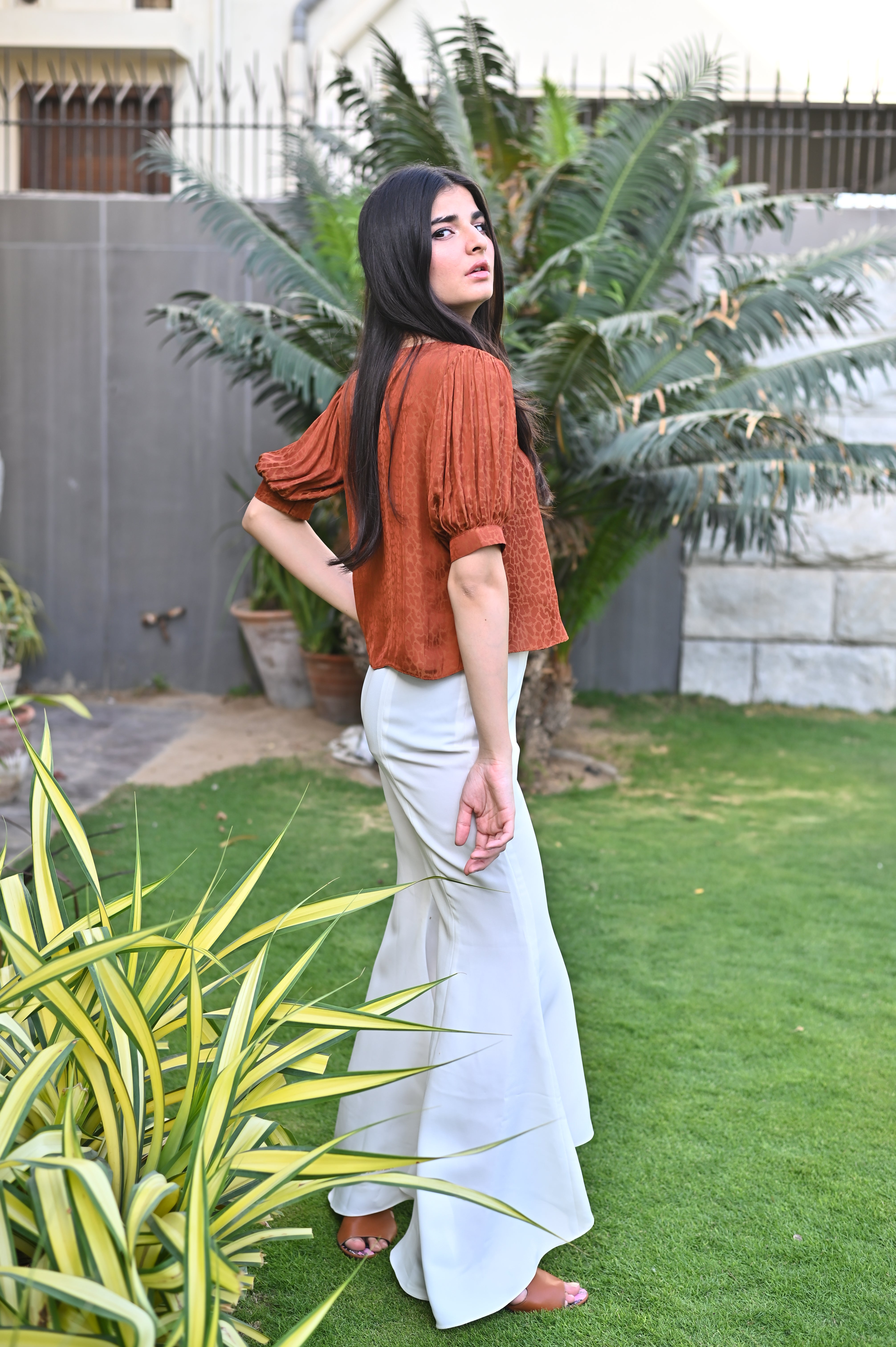 Desert Rose